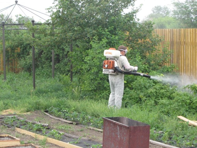 Уничтожение комаров на участке своими руками 68