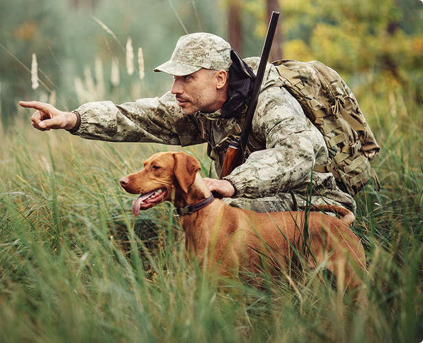 Дирофиляриоз у человека - симптомы и лечение