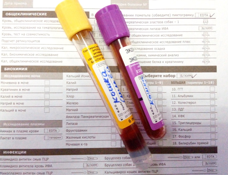 Биохимический анализ крови